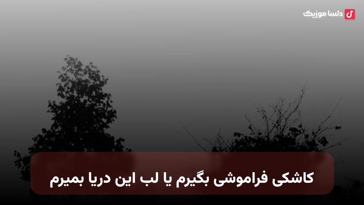 کاشکی فراموشی بگیرم یا لب این دریا بمیرم